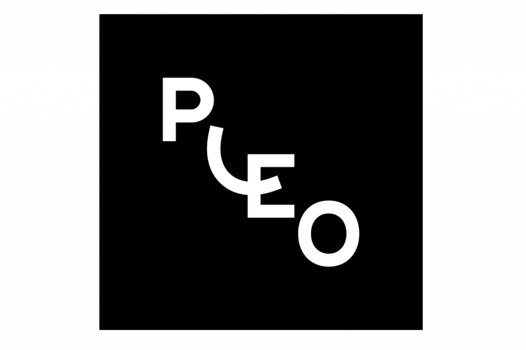 Pleo-Logo-smarte-Formenkreditkarte